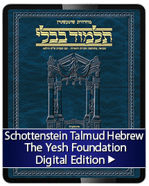 Schottenstein Talmud Hebrew Yesh Digital Volumes