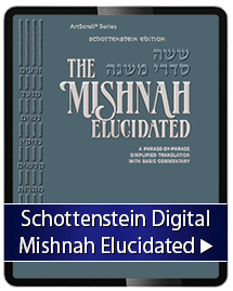 Schottenstein Mishnah Elucidated Digital Edition