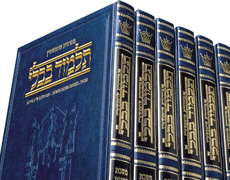 FULL SIZE SCHOTTENSTEIN Ed Talmud HEBREW