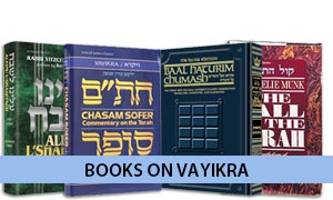 Books on Vayikra