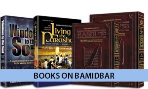 Books on Bamidbar