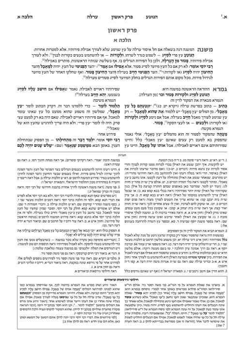 https://www.artscroll.com/Images/insides/d/dhyorb-ex-1.jpg