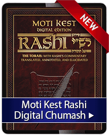 Kest Digital Rashi