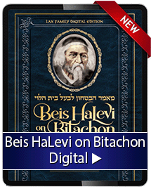 Beis Halevi on Bitachon Digital
