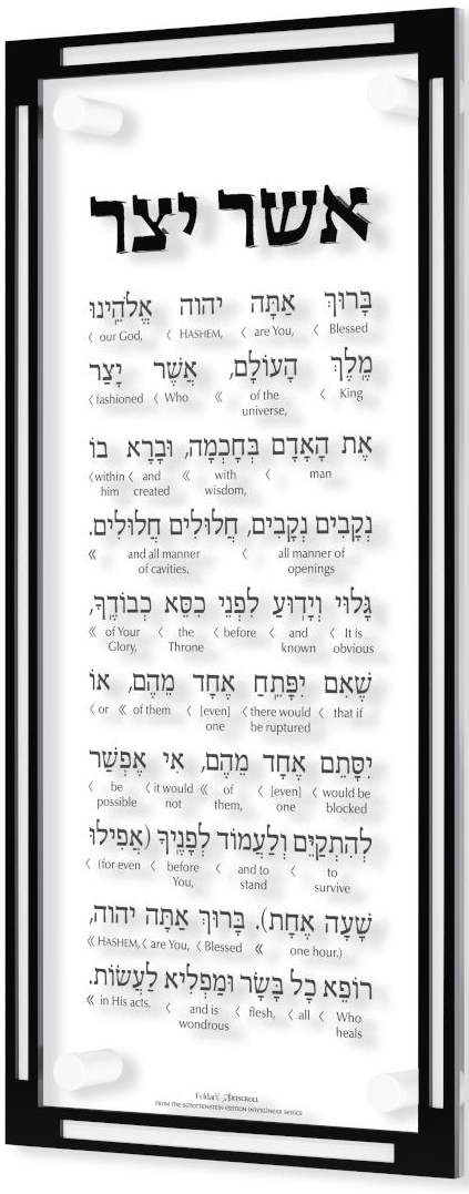 The ArtScroll Feldart Collection / Schottenstein Interlinear Ashar Yatzar - Black