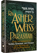 Rav Asher Weiss on the Parashah (volume 2)