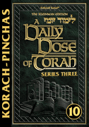 A DAILY DOSE OF TORAH SERIES 3 Vol 10: Weeks of Korach through Pinchas ebook