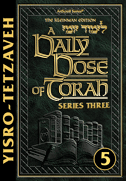 A DAILY DOSE OF TORAH SERIES 3 Vol 05: Weeks of Yisro through Tetzaveh ebook