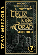 A DAILY DOSE OF TORAH SERIES 3 Vol 07: Weeks of Tzav through Metzorah ebook