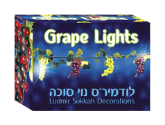 Sukkah Decoration - 72 Grape Lights