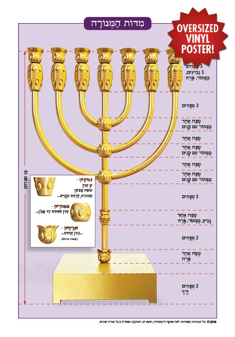 Oversized Vinyl Poster - The Menorah (round stems)