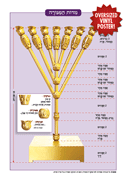 Oversized Vinyl Poster - The Menorah (straight stems)