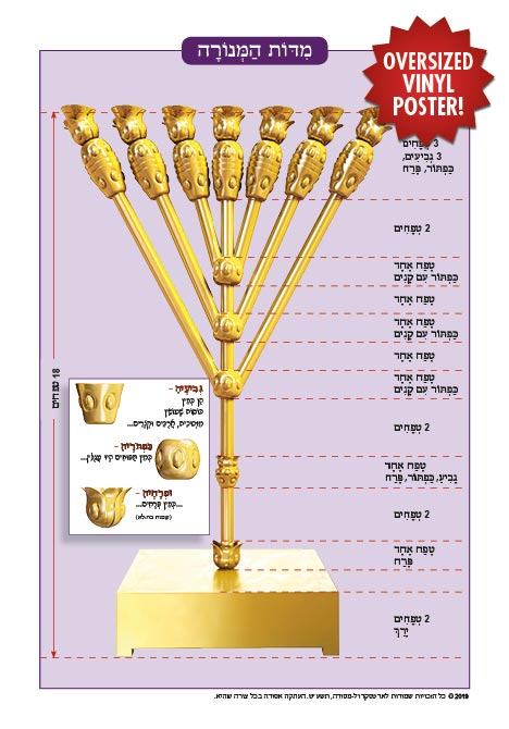 Oversized Vinyl Poster - The Menorah (straight stems)