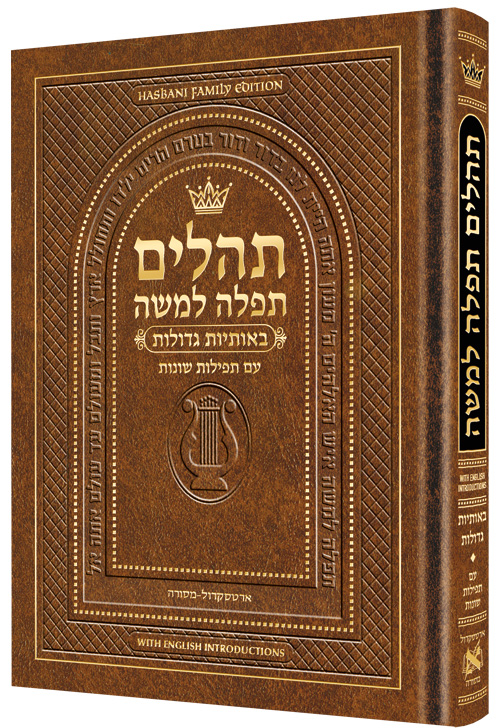 Hebrew Only, Large Type Tehillim with English Introductions- Hasbani Family Edition