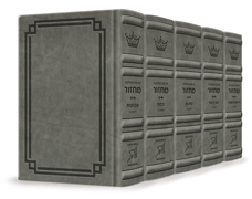 Signature Leather Collection Ashkenaz Schottenstein Interlinear Full-Size 5 Vol Machzor Set Glacier Grey