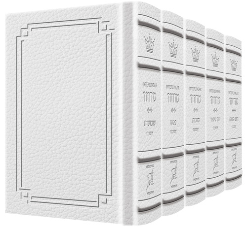 Ashkenaz - Signature White Leather Schottenstein Ed. Interlinear 5 Vol Set