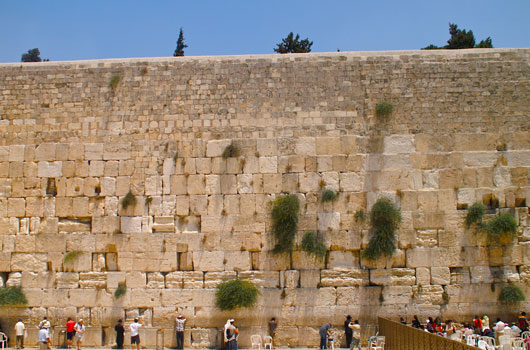 Kotel Curtain