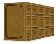 Signature Leather Collection Ashkenaz Hebrew/English Full-Size 5 Vol Machzor Set Desert Camel