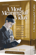 A Most Meaningful Viduy