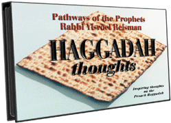  Haggadah Thoughts 