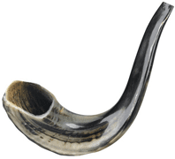 Shofar: Medium (#2) 11