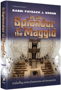 In the Splendor of the Maggid