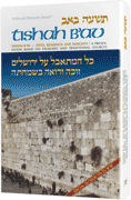 Tishah B'av: Texts, Readings, And Insights