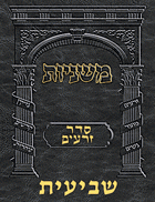 Digital Mishnah Original #05 Sheviis