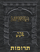 Digital Mishnah Original #06 Terumos