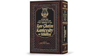 Tehillim - Commentaries