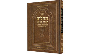 Hebrew Only Tehillim