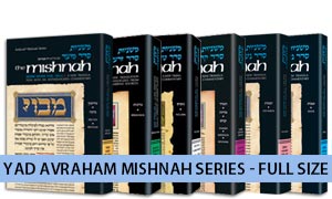 English Yad Avraham Mishnah - Individual Volumes